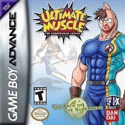 Ultimate Muscle – The Path Of The Superhero Rom